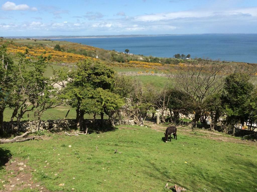 Stunning Views At Ballagh Cottage Newcastle Newcastle  Bagian luar foto